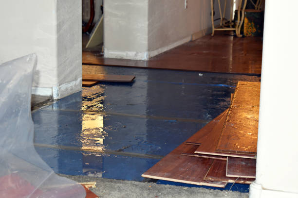 Professional Sewage Cleanup technician working in Olivet, MI